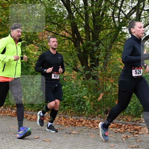 11.10.2026 - Bramfelder Halbmarathon 2026 J. Mangold http://msf.ph/oto/10823132 11.10.2026 10:27:58 Laufen 368, 521, 526, 637, 725, 735 meine-sportfotos.de