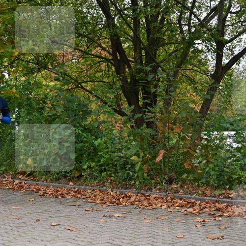 11.10.2026 - Bramfelder Halbmarathon 2026 J. Mangold http://msf.ph/oto/10823136 11.10.2026 10:28:00 Laufen 368, 521, 526, 637, 725, 735 meine-sportfotos.de