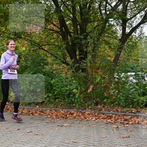 11.10.2026 - Bramfelder Halbmarathon 2026 J. Mangold http://msf.ph/oto/10823161 11.10.2026 10:28:29 Laufen 266 meine-sportfotos.de