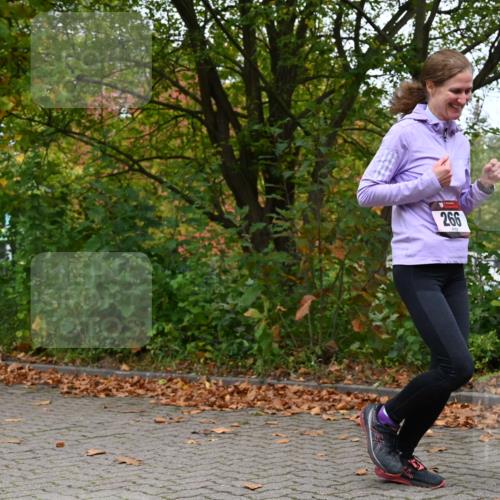 11.10.2026 - Bramfelder Halbmarathon 2026 J. Mangold http://msf.ph/oto/10823170 11.10.2026 10:28:30 Laufen 266 meine-sportfotos.de