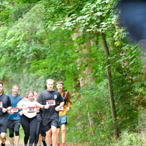 11.10.2026 - Bramfelder Halbmarathon 2026 Dr. Thomas Lammeyer http://msf.ph/oto/10823173 11.10.2026 10:37:43 Laufen 132, 617, 626 meine-sportfotos.de