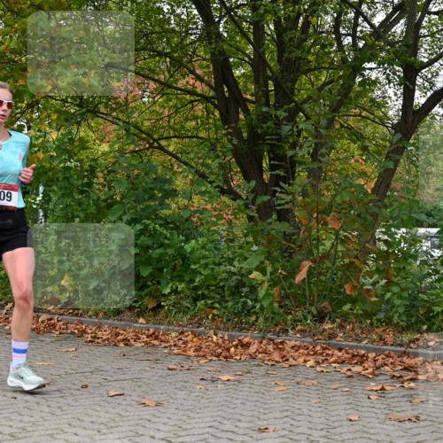 11.10.2026 - Bramfelder Halbmarathon 2026 J. Mangold http://msf.ph/oto/10823175 11.10.2026 10:28:41 Laufen 159, 309 meine-sportfotos.de