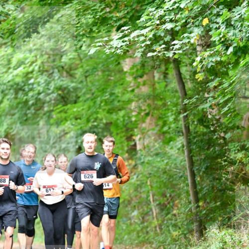 11.10.2026 - Bramfelder Halbmarathon 2026 Dr. Thomas Lammeyer http://msf.ph/oto/10823178 11.10.2026 10:37:44 Laufen 288, 32, 61, 626, 14 meine-sportfotos.de