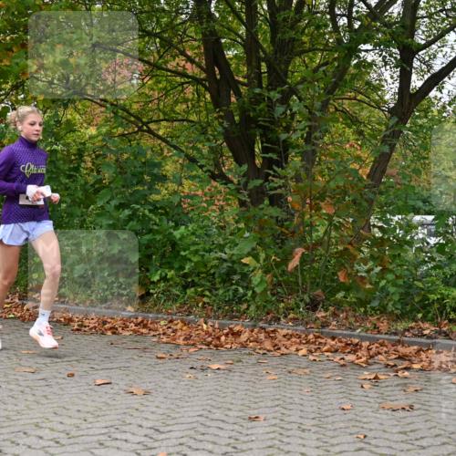 11.10.2026 - Bramfelder Halbmarathon 2026 J. Mangold http://msf.ph/oto/10823183 11.10.2026 10:28:47 Laufen 309, 478 meine-sportfotos.de