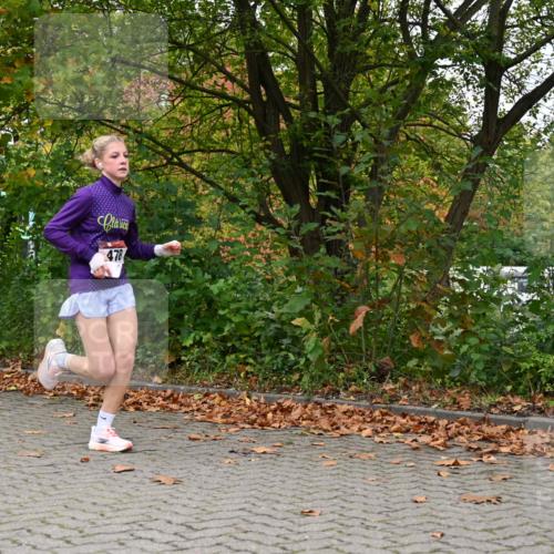 11.10.2026 - Bramfelder Halbmarathon 2026 J. Mangold http://msf.ph/oto/10823186 11.10.2026 10:28:47 Laufen 309, 478 meine-sportfotos.de