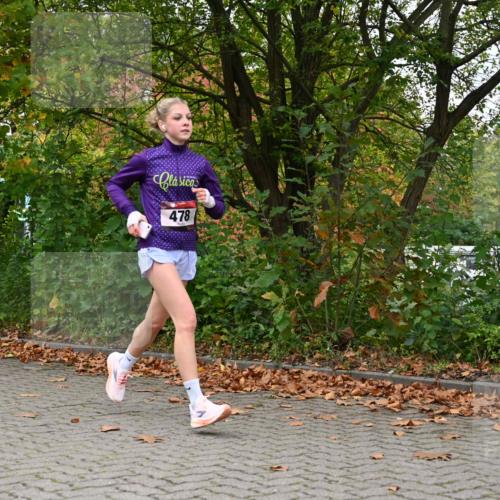 11.10.2026 - Bramfelder Halbmarathon 2026 J. Mangold http://msf.ph/oto/10823188 11.10.2026 10:28:48 Laufen 309, 478 meine-sportfotos.de