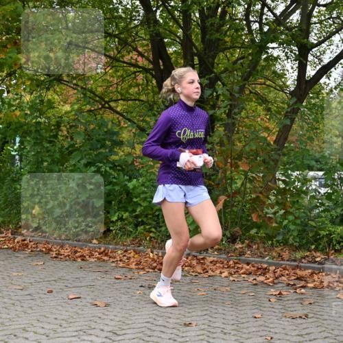 11.10.2026 - Bramfelder Halbmarathon 2026 J. Mangold http://msf.ph/oto/10823190 11.10.2026 10:28:48 Laufen 309, 478 meine-sportfotos.de