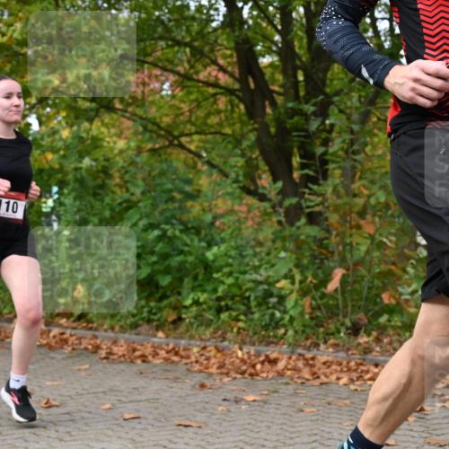 11.10.2026 - Bramfelder Halbmarathon 2026 J. Mangold http://msf.ph/oto/10823243 11.10.2026 10:30:38 Laufen 110, 801, 817 meine-sportfotos.de