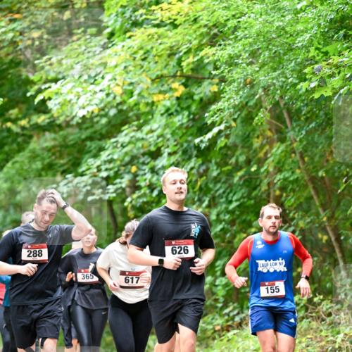 11.10.2026 - Bramfelder Halbmarathon 2026 Dr. Thomas Lammeyer http://msf.ph/oto/10823244 11.10.2026 10:37:50 Laufen 288, 365, 617, 626, 155 meine-sportfotos.de