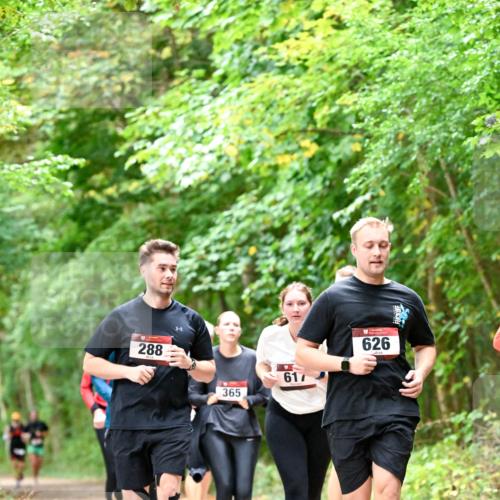 11.10.2026 - Bramfelder Halbmarathon 2026 Dr. Thomas Lammeyer http://msf.ph/oto/10823257 11.10.2026 10:37:51 Laufen 288, 365, 617, 626 meine-sportfotos.de