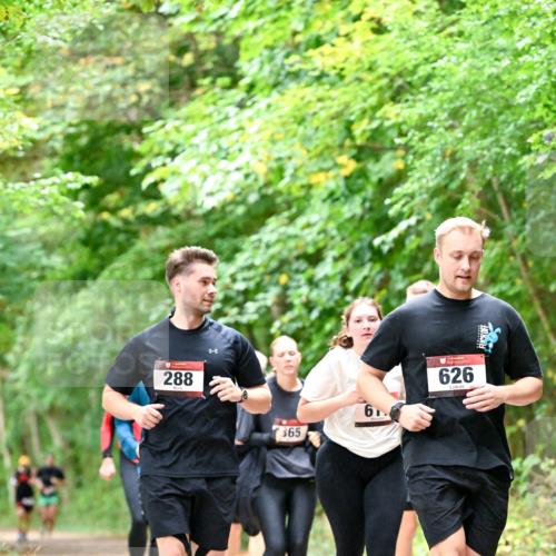 11.10.2026 - Bramfelder Halbmarathon 2026 Dr. Thomas Lammeyer http://msf.ph/oto/10823263 11.10.2026 10:37:51 Laufen 288, 365, 626 meine-sportfotos.de