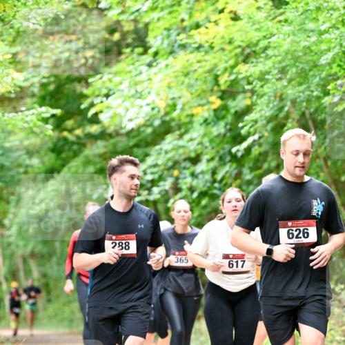 11.10.2026 - Bramfelder Halbmarathon 2026 Dr. Thomas Lammeyer http://msf.ph/oto/10823265 11.10.2026 10:37:52 Laufen 288, 365, 617, 626 meine-sportfotos.de