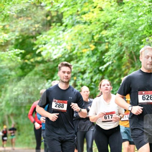 11.10.2026 - Bramfelder Halbmarathon 2026 Dr. Thomas Lammeyer http://msf.ph/oto/10823271 11.10.2026 10:37:52 Laufen 288, 617, 626 meine-sportfotos.de