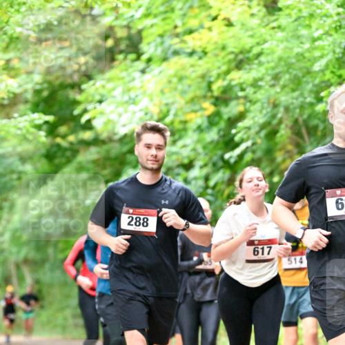 11.10.2026 - Bramfelder Halbmarathon 2026 Dr. Thomas Lammeyer http://msf.ph/oto/10823273 11.10.2026 10:37:52 Laufen 288, 617, 514, 61 meine-sportfotos.de