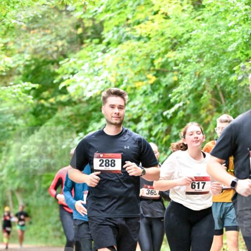 11.10.2026 - Bramfelder Halbmarathon 2026 Dr. Thomas Lammeyer http://msf.ph/oto/10823274 11.10.2026 10:37:52 Laufen 288, 365, 617 meine-sportfotos.de