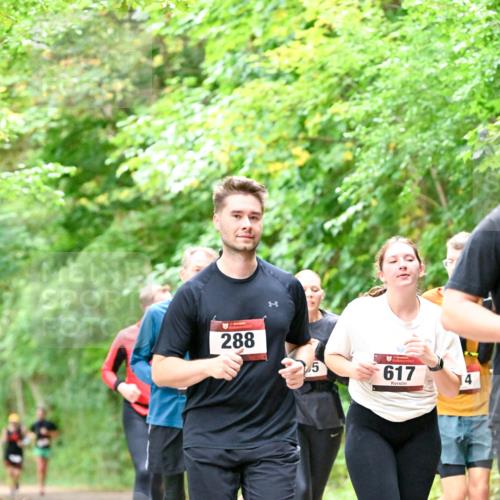 11.10.2026 - Bramfelder Halbmarathon 2026 Dr. Thomas Lammeyer http://msf.ph/oto/10823276 11.10.2026 10:37:52 Laufen 288, 617 meine-sportfotos.de