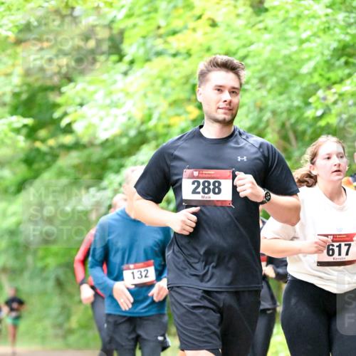 11.10.2026 - Bramfelder Halbmarathon 2026 Dr. Thomas Lammeyer http://msf.ph/oto/10823284 11.10.2026 10:37:53 Laufen 132, 35, 288, 617 meine-sportfotos.de