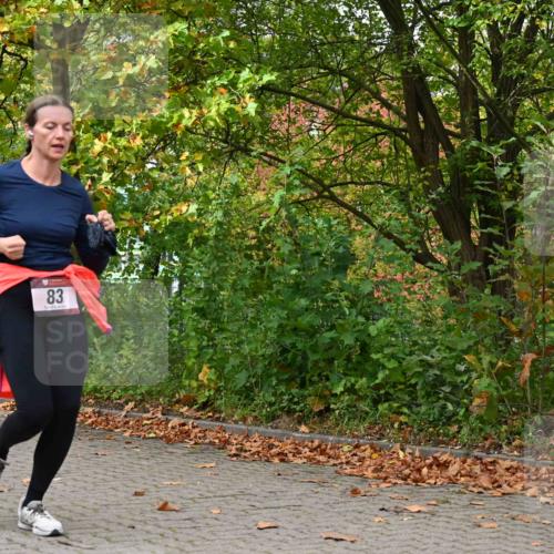 11.10.2026 - Bramfelder Halbmarathon 2026 J. Mangold http://msf.ph/oto/10823288 11.10.2026 10:31:36 Laufen 83 meine-sportfotos.de