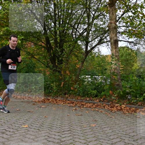 11.10.2026 - Bramfelder Halbmarathon 2026 J. Mangold http://msf.ph/oto/10823300 11.10.2026 10:31:48 Laufen 239, 593, 748 meine-sportfotos.de