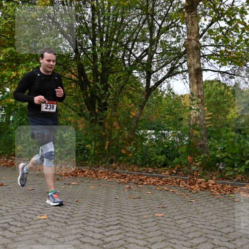 11.10.2026 - Bramfelder Halbmarathon 2026 J. Mangold http://msf.ph/oto/10823302 11.10.2026 10:31:49 Laufen 174, 239, 312, 593, 748 meine-sportfotos.de