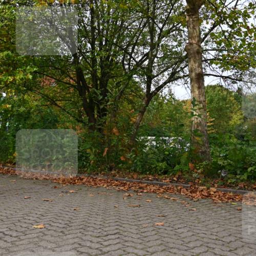 11.10.2026 - Bramfelder Halbmarathon 2026 J. Mangold http://msf.ph/oto/10823308 11.10.2026 10:31:50 Laufen 174, 239, 312, 593, 748 meine-sportfotos.de