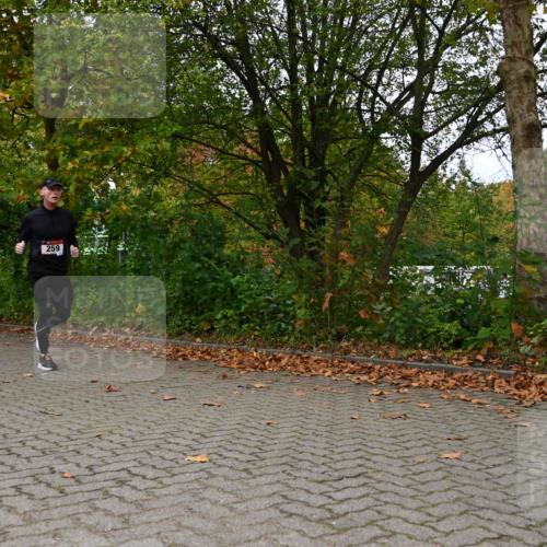 11.10.2026 - Bramfelder Halbmarathon 2026 J. Mangold http://msf.ph/oto/10823369 11.10.2026 10:32:00 Laufen 259, 432, 714, 738 meine-sportfotos.de