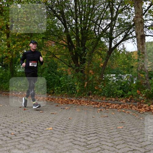 11.10.2026 - Bramfelder Halbmarathon 2026 J. Mangold http://msf.ph/oto/10823374 11.10.2026 10:32:00 Laufen 259, 432, 714, 738 meine-sportfotos.de