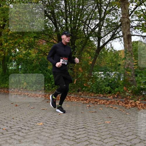 11.10.2026 - Bramfelder Halbmarathon 2026 J. Mangold http://msf.ph/oto/10823378 11.10.2026 10:32:01 Laufen 259, 432, 714, 738 meine-sportfotos.de
