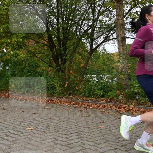 11.10.2026 - Bramfelder Halbmarathon 2026 J. Mangold http://msf.ph/oto/10823450 11.10.2026 10:32:41 Laufen 374 meine-sportfotos.de