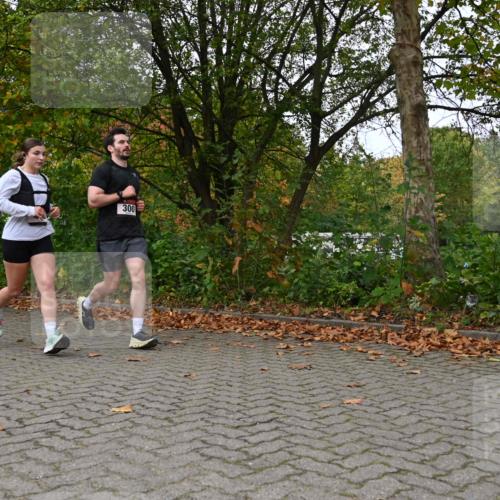 11.10.2026 - Bramfelder Halbmarathon 2026 J. Mangold http://msf.ph/oto/10823496 11.10.2026 10:33:06 Laufen 253, 300, 329, 463 meine-sportfotos.de