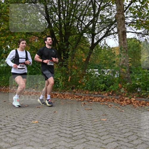 11.10.2026 - Bramfelder Halbmarathon 2026 J. Mangold http://msf.ph/oto/10823498 11.10.2026 10:33:06 Laufen 253, 300, 329, 463 meine-sportfotos.de
