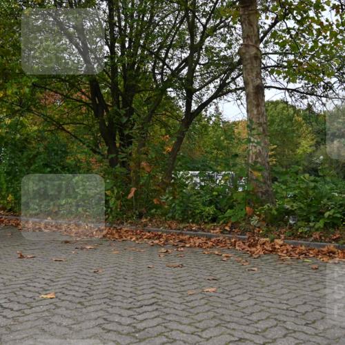 11.10.2026 - Bramfelder Halbmarathon 2026 J. Mangold http://msf.ph/oto/10823543 11.10.2026 10:33:18 Laufen 18, 34, 429, 452, 479, 567, 605, 720 meine-sportfotos.de