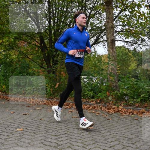 11.10.2026 - Bramfelder Halbmarathon 2026 J. Mangold http://msf.ph/oto/10823561 11.10.2026 10:33:20 Laufen 18, 34, 114, 214, 429, 452, 479, 567, 605, 720 meine-sportfotos.de
