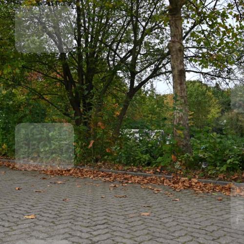 11.10.2026 - Bramfelder Halbmarathon 2026 J. Mangold http://msf.ph/oto/10823587 11.10.2026 10:33:23 Laufen 18, 114, 214, 452, 479, 567, 605 meine-sportfotos.de