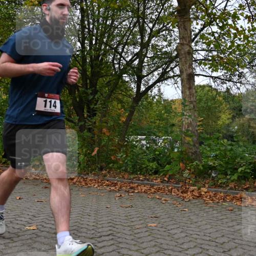 11.10.2026 - Bramfelder Halbmarathon 2026 J. Mangold http://msf.ph/oto/10823594 11.10.2026 10:33:23 Laufen 18, 114, 214, 452, 479, 567, 605 meine-sportfotos.de
