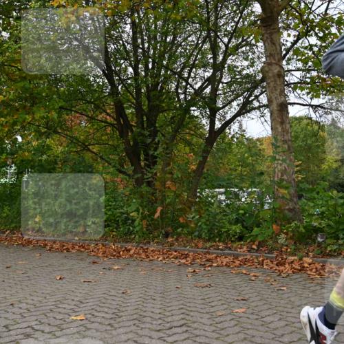 11.10.2026 - Bramfelder Halbmarathon 2026 J. Mangold http://msf.ph/oto/10823628 11.10.2026 10:33:37 Laufen 65, 70, 195 meine-sportfotos.de