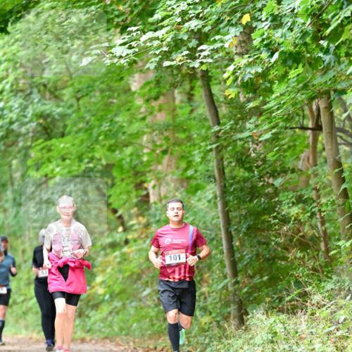 11.10.2026 - Bramfelder Halbmarathon 2026 Dr. Thomas Lammeyer http://msf.ph/oto/10823676 11.10.2026 10:39:21 Laufen 101 meine-sportfotos.de