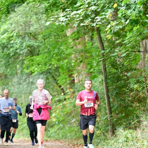 11.10.2026 - Bramfelder Halbmarathon 2026 Dr. Thomas Lammeyer http://msf.ph/oto/10823678 11.10.2026 10:39:21 Laufen 613, 101 meine-sportfotos.de