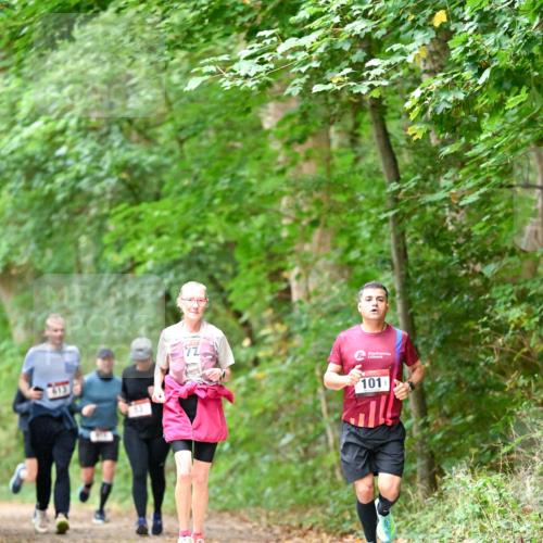 11.10.2026 - Bramfelder Halbmarathon 2026 Dr. Thomas Lammeyer http://msf.ph/oto/10823682 11.10.2026 10:39:22 Laufen 77, 101 meine-sportfotos.de