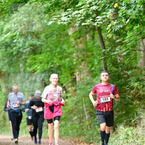 11.10.2026 - Bramfelder Halbmarathon 2026 Dr. Thomas Lammeyer http://msf.ph/oto/10823688 11.10.2026 10:39:22 Laufen 101 meine-sportfotos.de