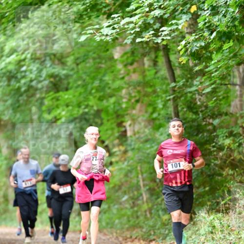 11.10.2026 - Bramfelder Halbmarathon 2026 Dr. Thomas Lammeyer http://msf.ph/oto/10823690 11.10.2026 10:39:22 Laufen 77, 413, 101 meine-sportfotos.de