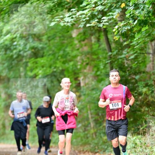 11.10.2026 - Bramfelder Halbmarathon 2026 Dr. Thomas Lammeyer http://msf.ph/oto/10823701 11.10.2026 10:39:23 Laufen 77, 101 meine-sportfotos.de