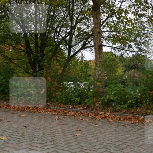 11.10.2026 - Bramfelder Halbmarathon 2026 J. Mangold http://msf.ph/oto/10823707 11.10.2026 10:34:22 Laufen 44, 303, 356, 439, 444, 822 meine-sportfotos.de