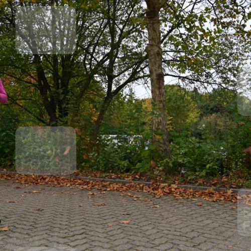 11.10.2026 - Bramfelder Halbmarathon 2026 J. Mangold http://msf.ph/oto/10823711 11.10.2026 10:34:23 Laufen 44, 303, 356, 439, 444, 822 meine-sportfotos.de