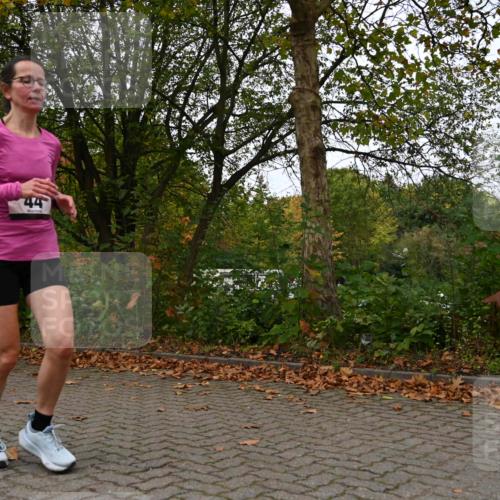 11.10.2026 - Bramfelder Halbmarathon 2026 J. Mangold http://msf.ph/oto/10823713 11.10.2026 10:34:24 Laufen 44, 303, 356, 439, 444, 822 meine-sportfotos.de