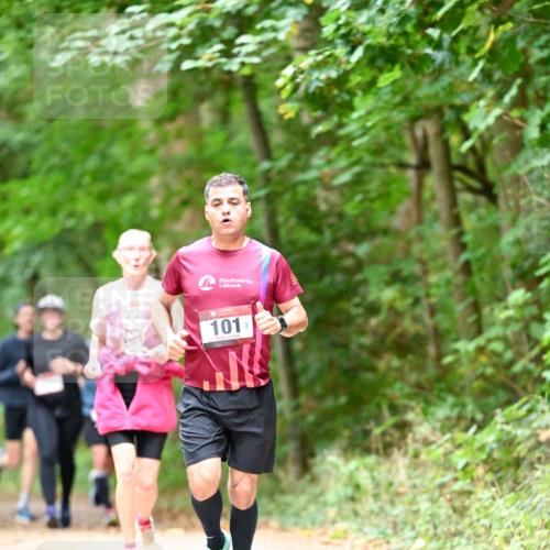 11.10.2026 - Bramfelder Halbmarathon 2026 Dr. Thomas Lammeyer http://msf.ph/oto/10823714 11.10.2026 10:39:24 Laufen 101, 3 meine-sportfotos.de