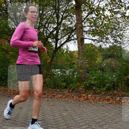 11.10.2026 - Bramfelder Halbmarathon 2026 J. Mangold http://msf.ph/oto/10823715 11.10.2026 10:34:24 Laufen 44, 303, 356, 439, 444, 822 meine-sportfotos.de
