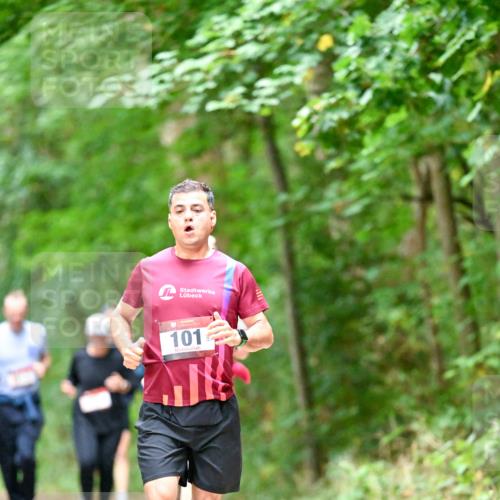 11.10.2026 - Bramfelder Halbmarathon 2026 Dr. Thomas Lammeyer http://msf.ph/oto/10823724 11.10.2026 10:39:25 Laufen 101 meine-sportfotos.de