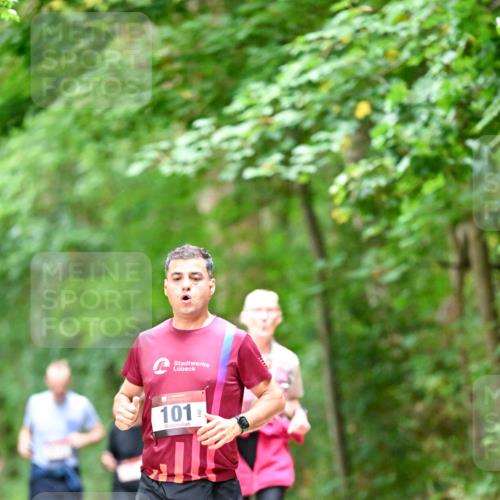 11.10.2026 - Bramfelder Halbmarathon 2026 Dr. Thomas Lammeyer http://msf.ph/oto/10823728 11.10.2026 10:39:25 Laufen 101 meine-sportfotos.de