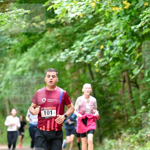 11.10.2026 - Bramfelder Halbmarathon 2026 Dr. Thomas Lammeyer http://msf.ph/oto/10823735 11.10.2026 10:39:26 Laufen 101 meine-sportfotos.de